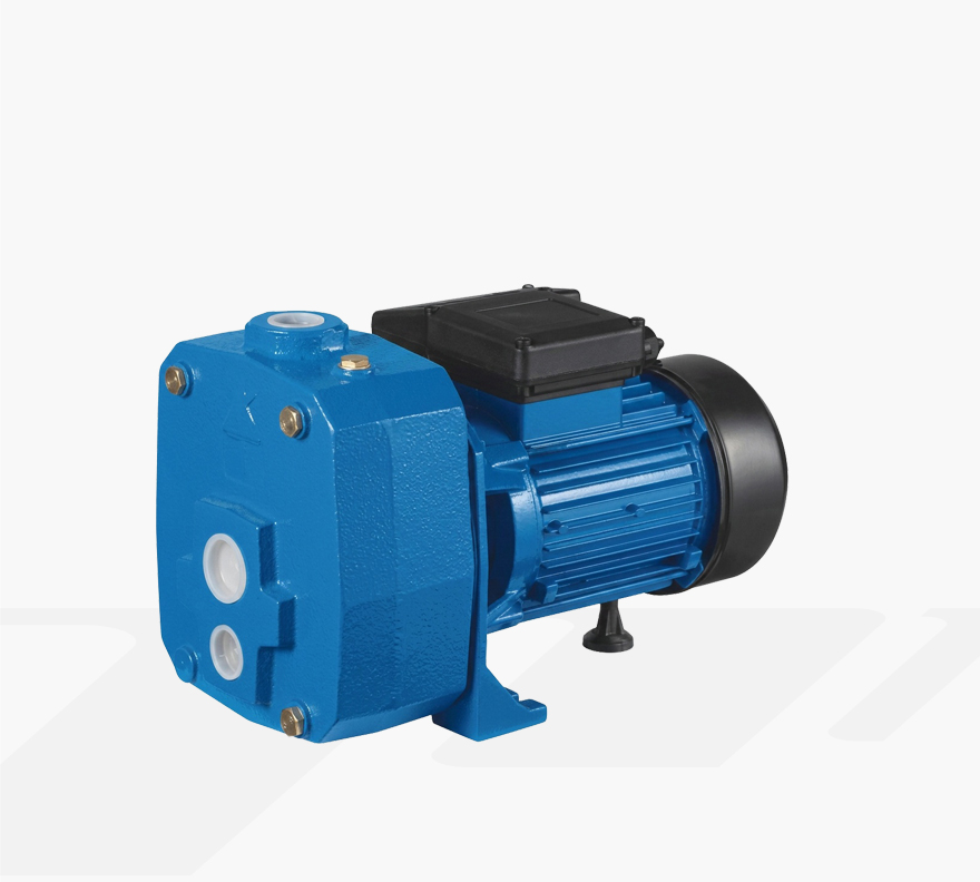 DP505