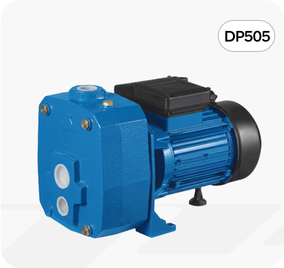 DP505