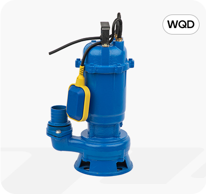 WQD